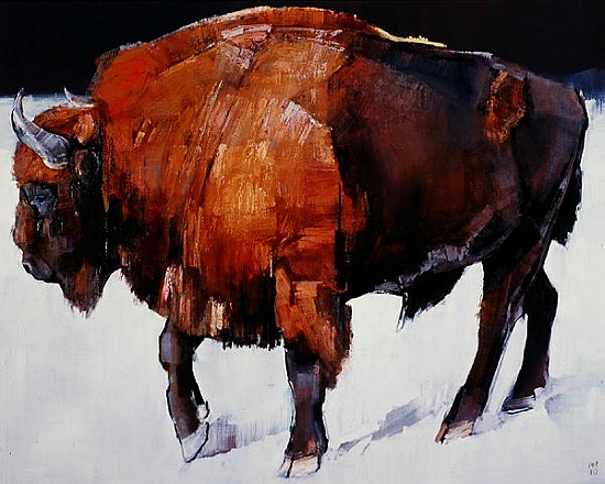European Bison van Mark  Adlington