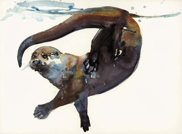 Otter Study II -Talisker van Mark  Adlington
