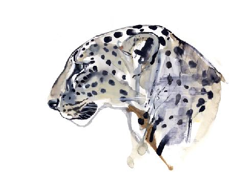 Profile (Arabian Leopard)