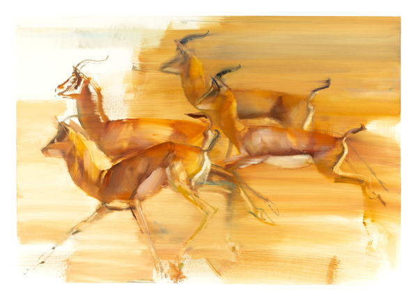 Running Gazelles van Mark  Adlington