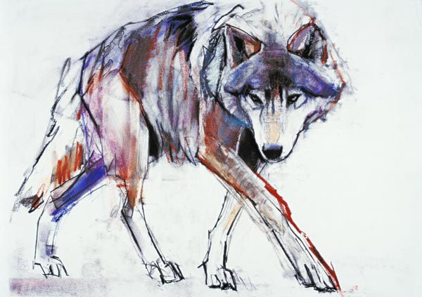 Wolf van Mark  Adlington
