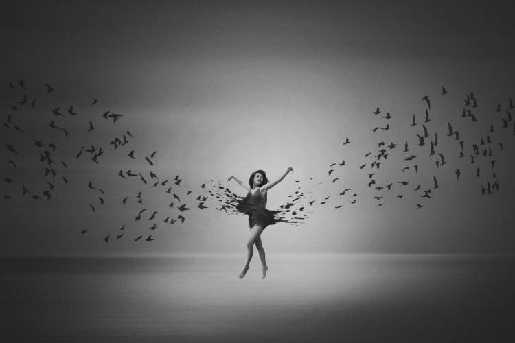 Ballerina flight of Birds van Mark Biwit