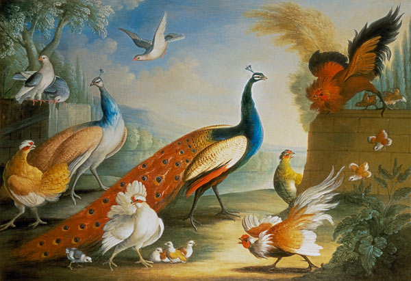 Two Peacocks, Doves, Chickens and a Rooster in a Parkland van Marmaduke Craddock