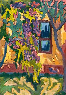 Sunlit Wall with Fruit Tree, 2005 (oil on board) 