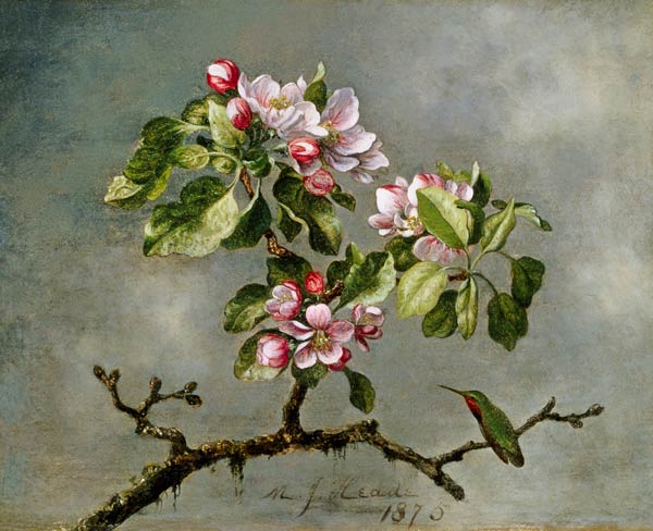 Apple Blossoms and a Hummingbird van Martin Johnson Heade