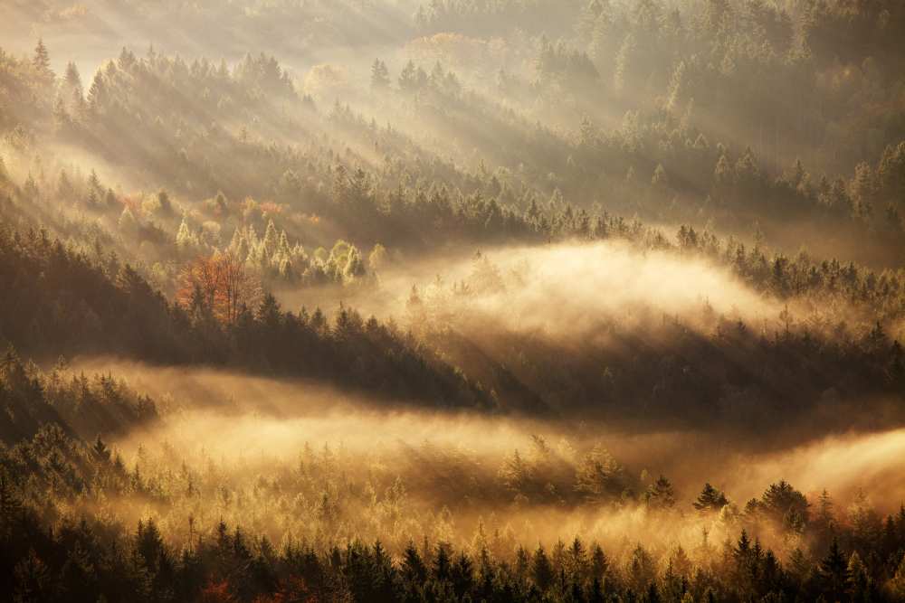 Autumn Rays van Martin Rak