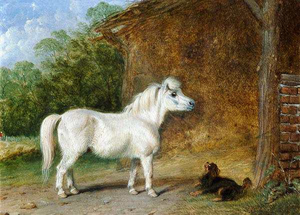 A Shetland pony and a King Charles spaniel (board) van Martin Theodore Ward