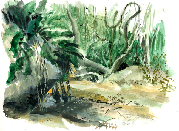 Jungle: Tyrona, Colombia van Mary Kuper