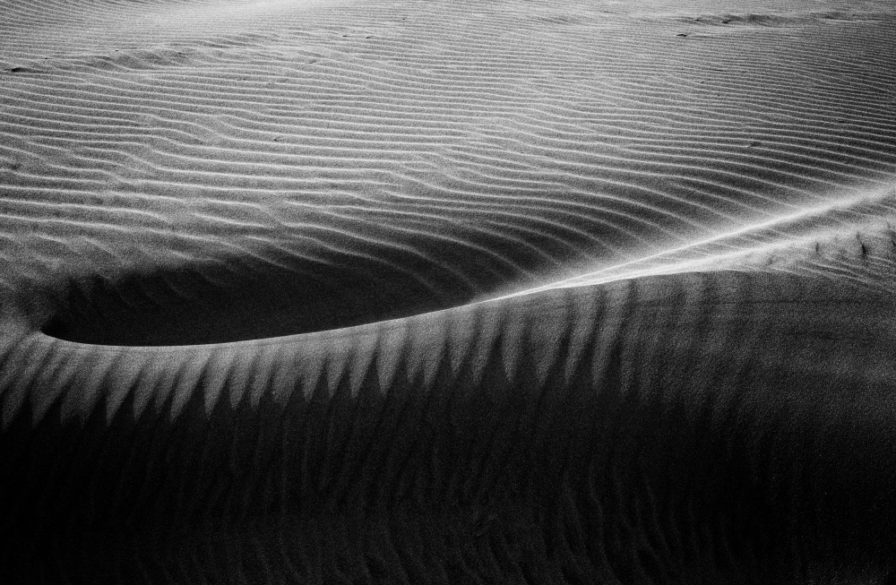 In the hollow of the dunes van Maryse Dardaillon