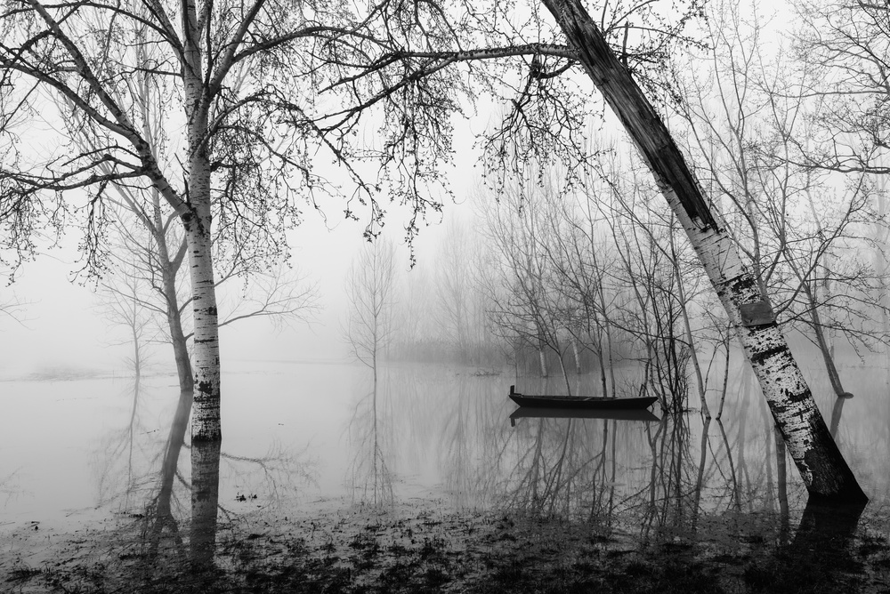 Fog in the marsh van Matteo Chiarello