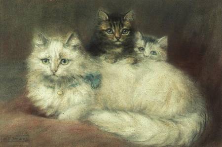 A Persian Cat and her kittens van Maud D. Heaps
