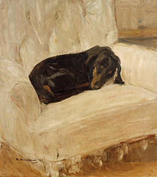 Slapende teckel in een leunstoel van Max Liebermann