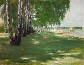 De tuin van de kunstenaar in Wannsee: berkenbomen aan de oever van het meer