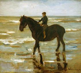 Reitender Junge am Strand - dickes Pferd