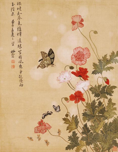 Mohnblumen und Schmetterlinge van Ma Yuanyu