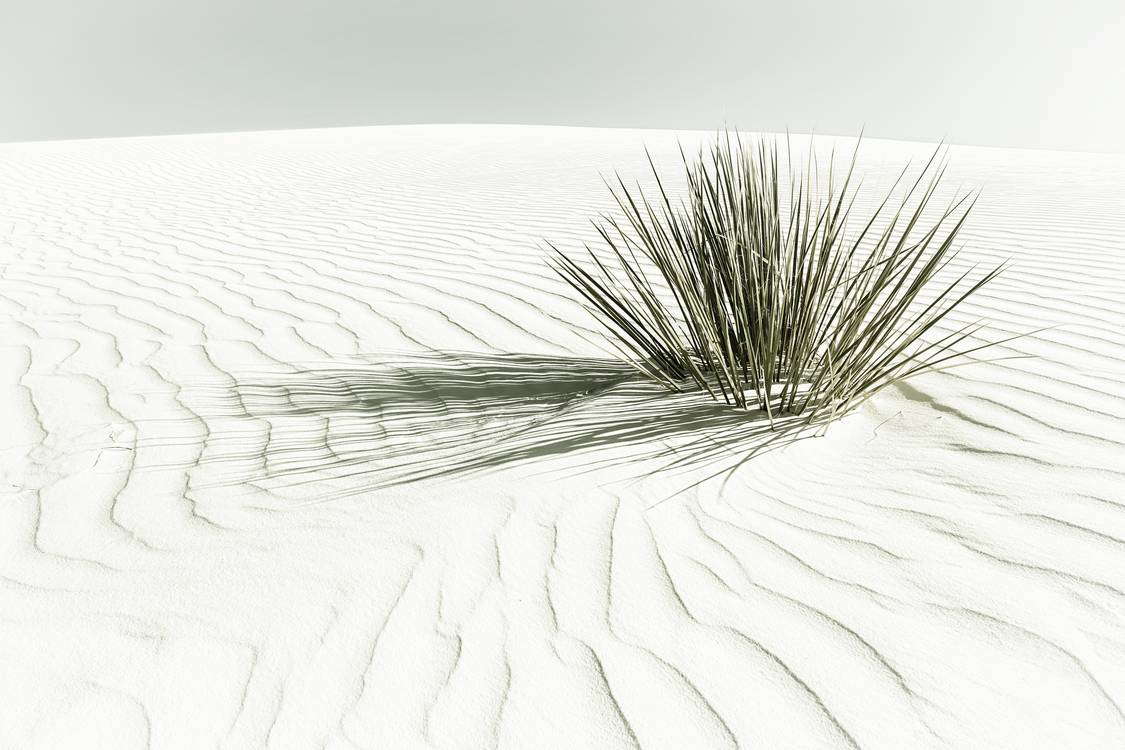 Duinen, White Sands National Monument | Vintage van Melanie Viola