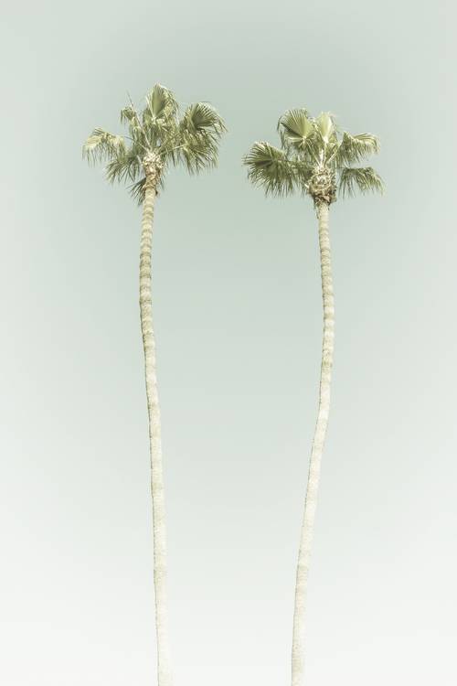 Minimalistische idylle met palmbomen op het strand | Vintage  van Melanie Viola