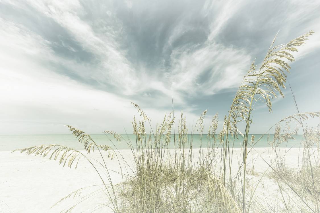 Riet op het strand - Hemelse stilte | Vintage van Melanie Viola