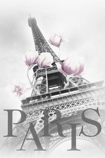 PARIJS Eiffeltoren met Magnolia\'s 