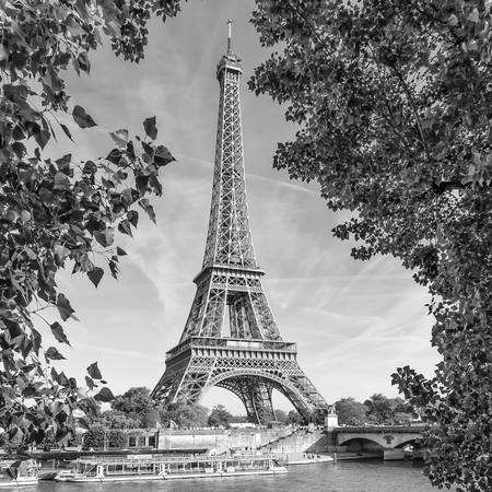 PARIJS Eiffeltoren & Seine | Monochroom