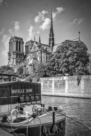 PARIJS Notre-Dame kathedraal | Monochroom