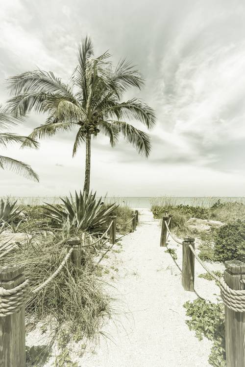 Weg naar het strand - Palms & Sea | Vintage van Melanie Viola