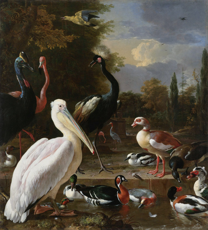 A Pelican and other Birds near a Pool, Known as ‘The Floating Feather’ van Melchior de Hondecoeter