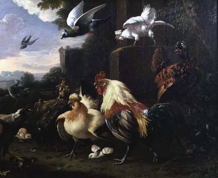 A cockerel and other fowl in a landscape van Melchior de Hondecoeter
