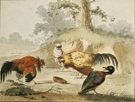 Cocks Fighting van Melchior de Hondecoeter