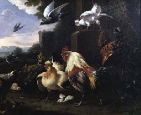 A cockerel and other fowl in a landscape