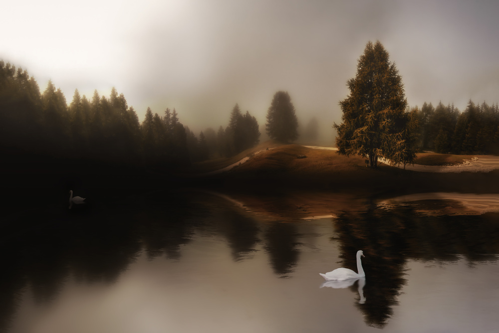 Swan Lake van Michael