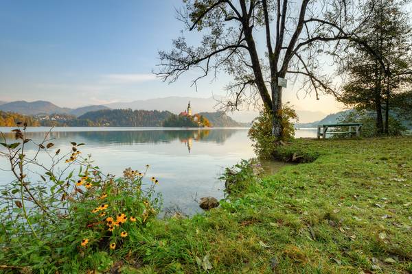 Morgens am Bleder See in Slowenien van Michael Valjak