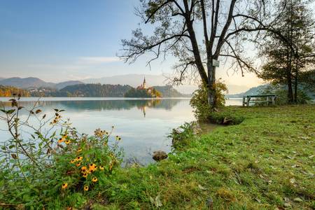 Morgens am Bleder See in Slowenien