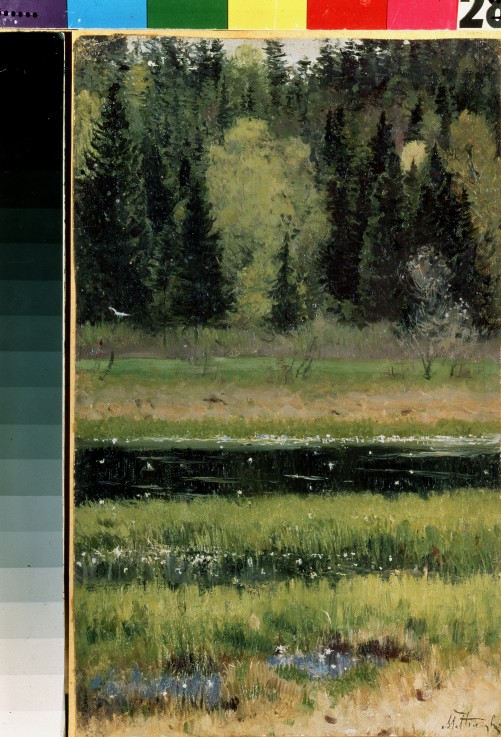 Landscape van Michail Wassiljew. Nesterow