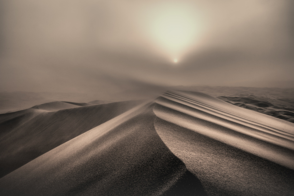 The perfect sandstorm van Michel Guyot