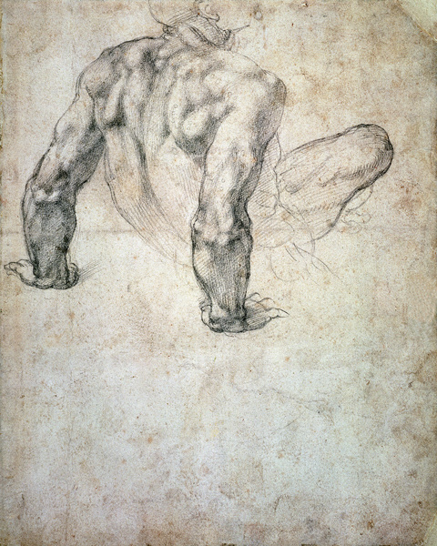 W.63r Study of a male nude, leaning back on his hands cil on van Michelangelo (Buonarroti)