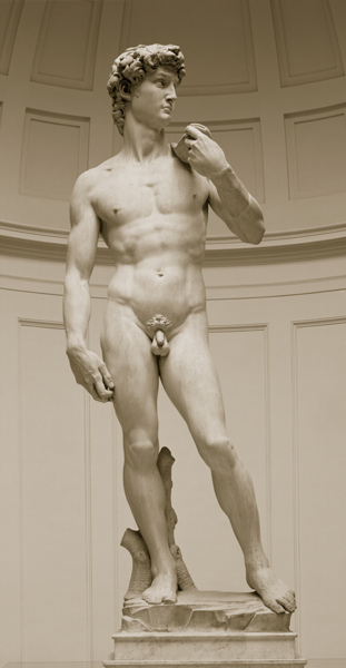 David van Michelangelo (Buonarroti)