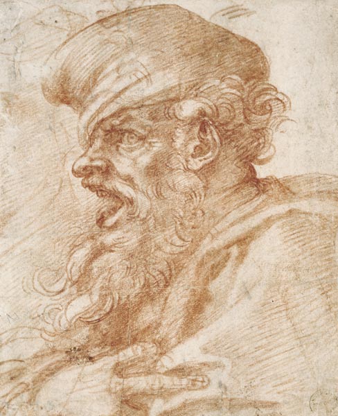 Head of a Bearded Man Shouting van Michelangelo (Buonarroti)