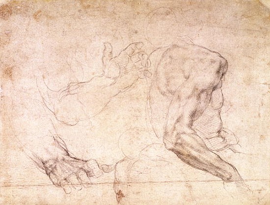 Studies of hands and an arm(verso) van Michelangelo (Buonarroti)