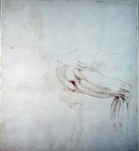 Study of a Leg with Notes  (recto) van Michelangelo (Buonarroti)