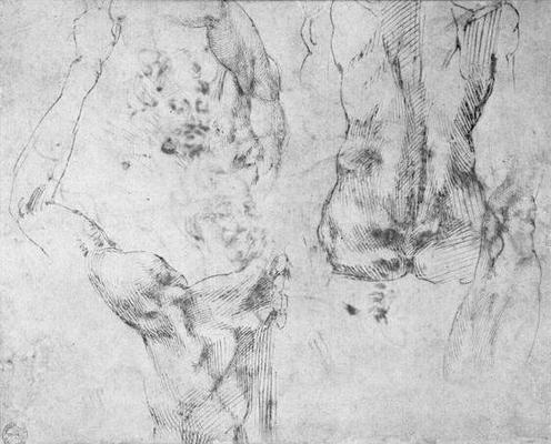 Study of a back and shoulder (pen & ink on paper) van Michelangelo (Buonarroti)