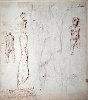Study of the Christ Child and an Anatomical Drawing with Notes (black chalk & brown ink on paper) (v