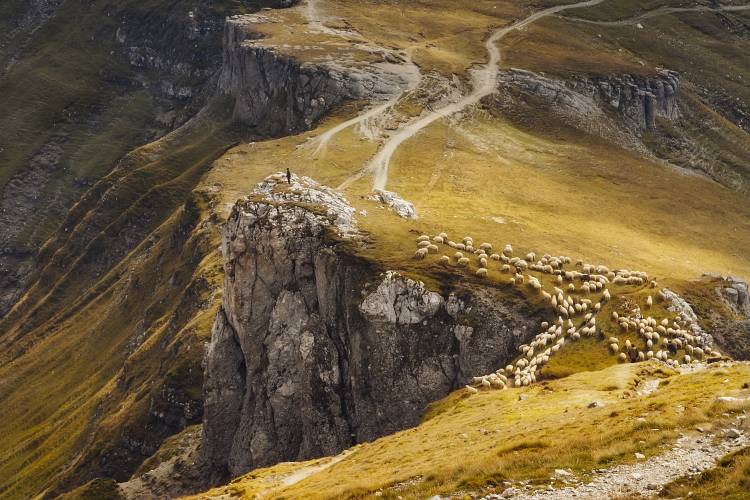 Alpine Pastures van Mihai Ian nedelcu