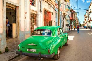 Green Havana
