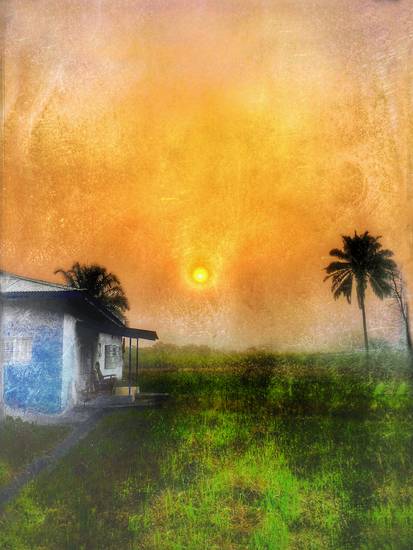 Sonnenaufgang unter Palmen, Haus in Afrika, Sierra Leone, Fotokunst