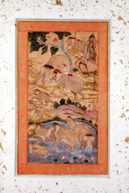 Hunters Capturing Elephants, from the Large Clive Album van Mughal School