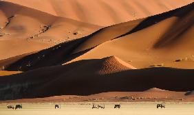 Namib Dunes