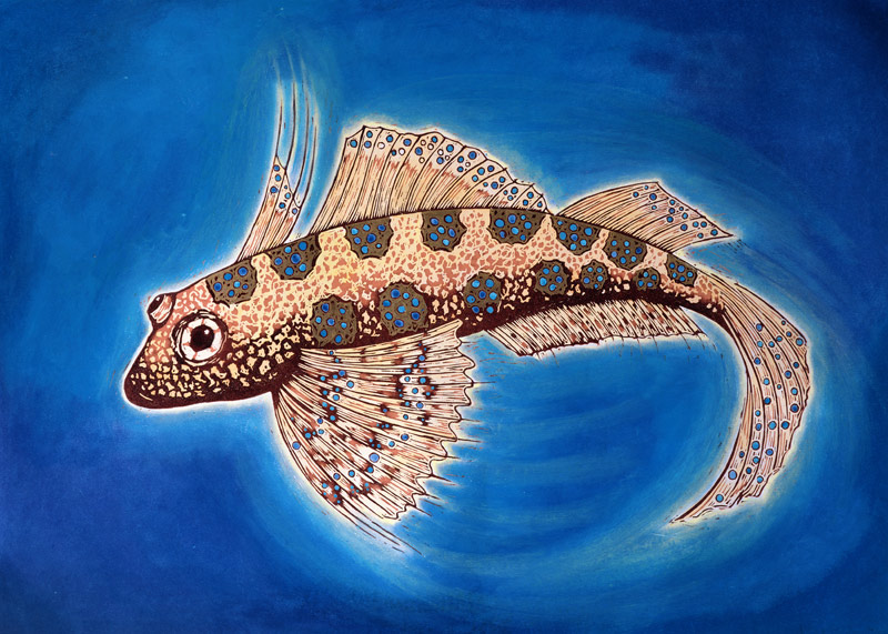 Dragonet Fish, 1999 (woodcut print and mixed media)  van Nat  Morley