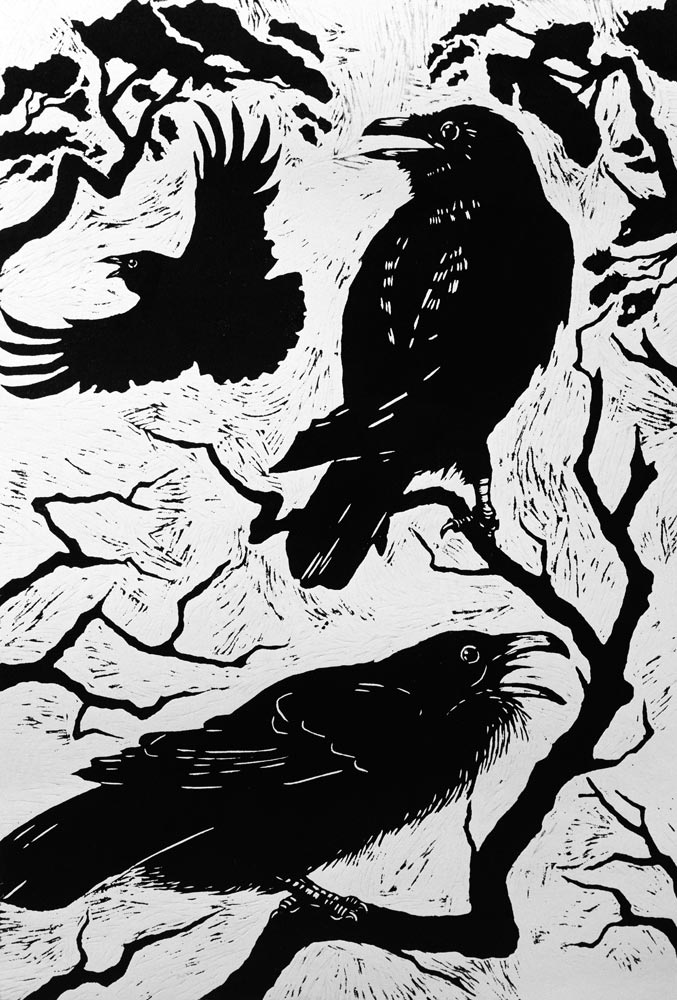 Ravens, 1998 (woodcut)  van Nat  Morley