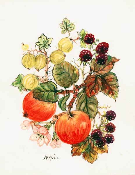 Brambles, Apples and Grapes (w/c on paper)  van Nell  Hill